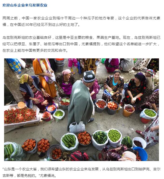 中赟国际工程有限公司